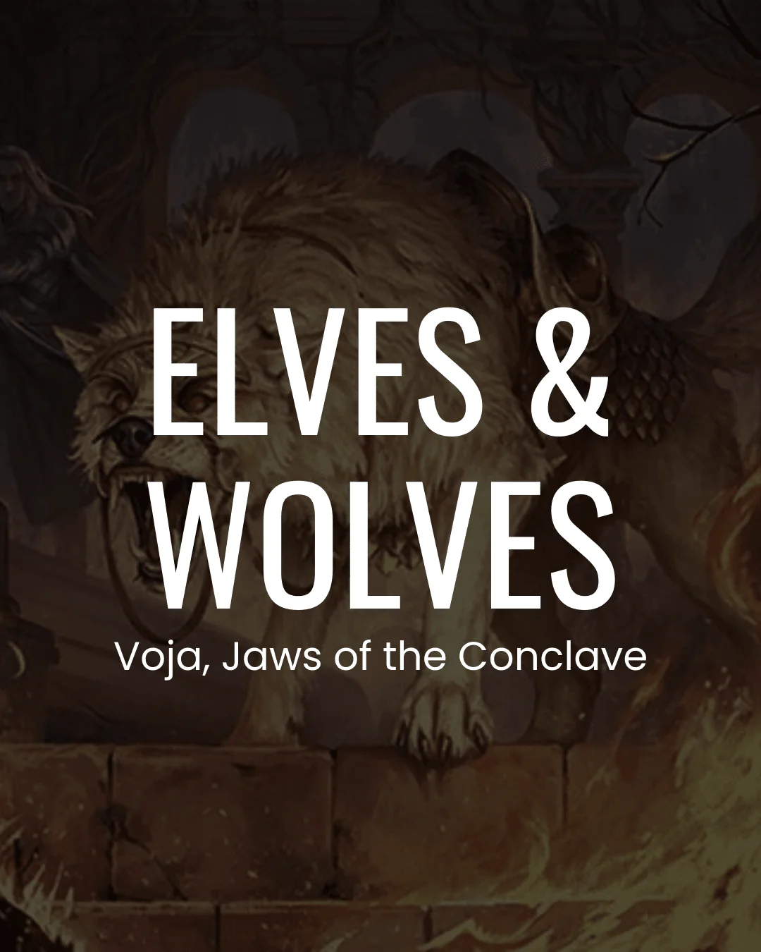 New Decks - Ninjas, Mill, Elves & Wolves